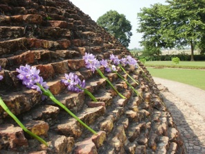 The crematory site of Buddha is covered by flowers