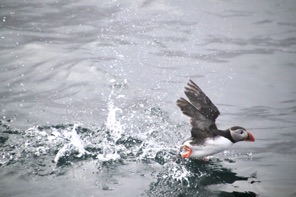 IMG_3899.JPG